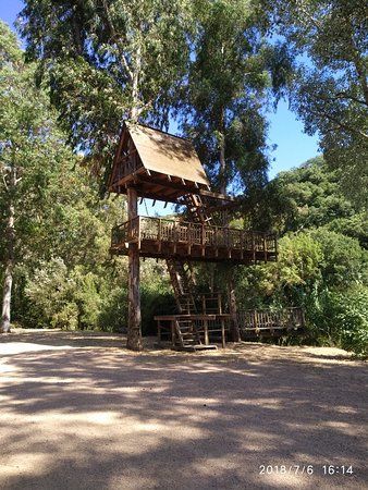 Casa sull'Albero