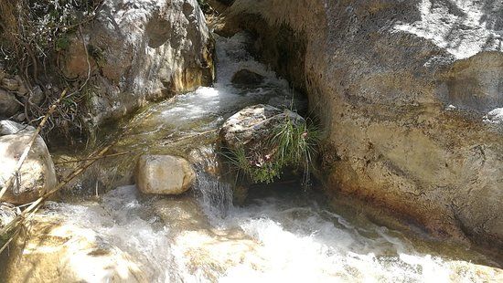 Rio Patamalara