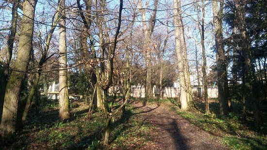 Parco Pubblico "M.A. Centanini"