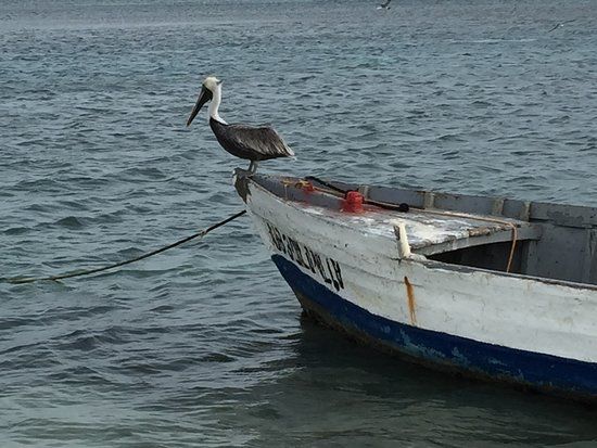 Governor's Bay Beach