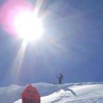 The Habit Burger Grill