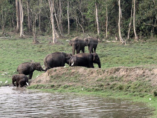 Chapramari Watchtower