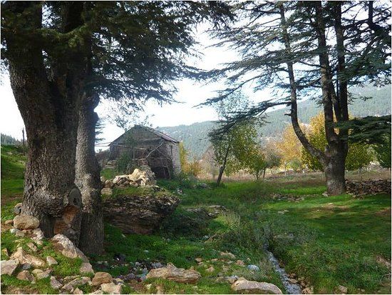 Huzurlu Tabiat Parkı