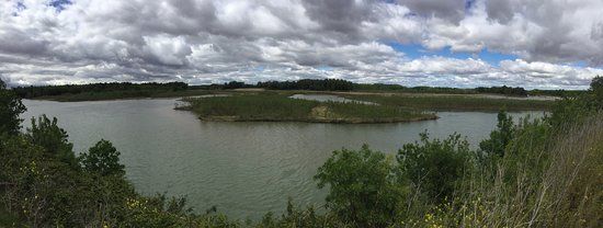 Reserva Natural de Los Sotos de Alfaro