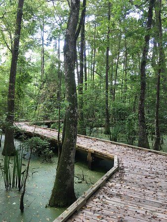 LSU Botanic Gardens Ione Conference Center