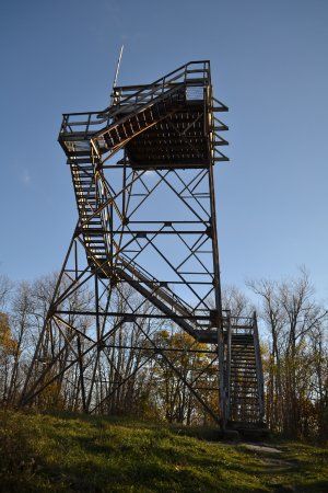 Bickel Knob Observation Tower