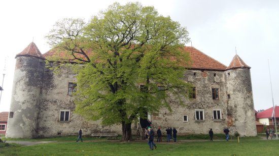 Zamek w Czynadijowie