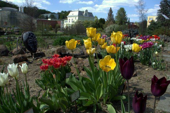 Botanischer Garten