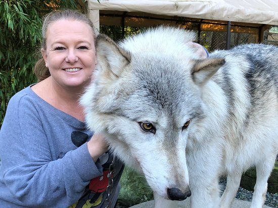 Predators of the Heart