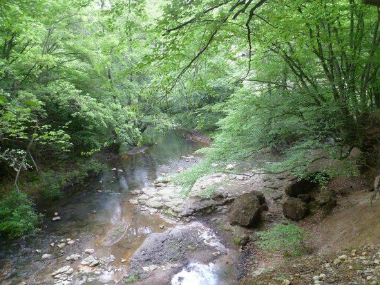 Parco Della Mola