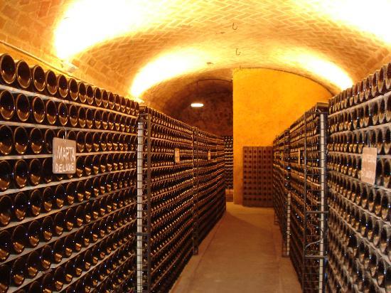 Cava Canals Canals