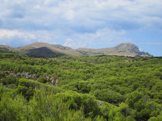 Puig de sa Tudosa