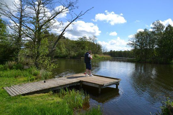 Caistron Trout Fishery