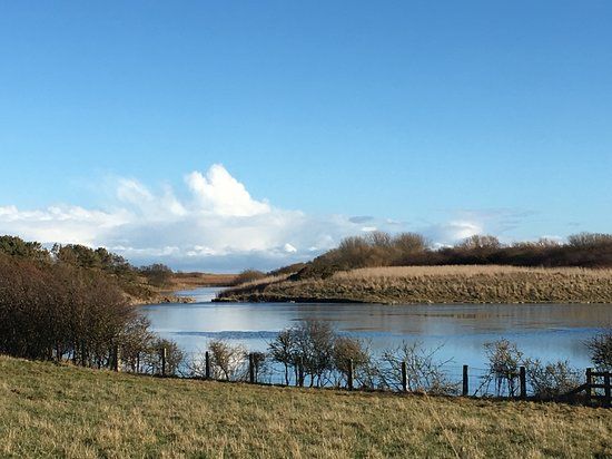 Hauxley Wildlife Discovery Centre