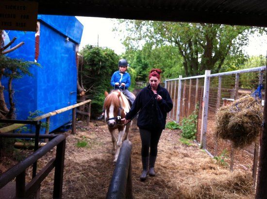 Greenacres Animal Park