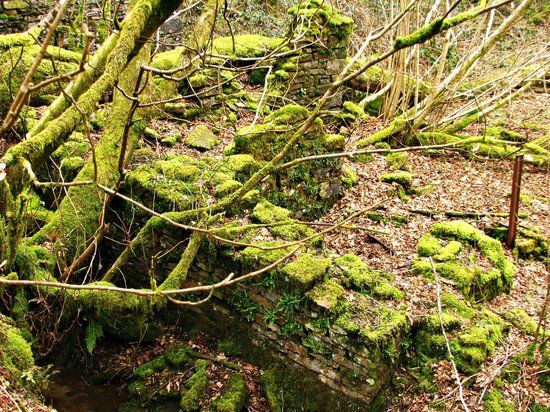 Cwm Clydach Walk