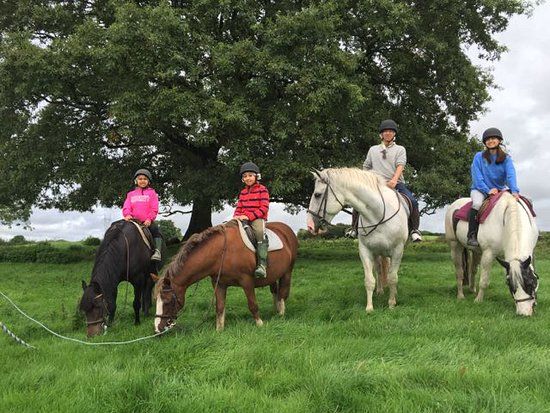 Castlefergus Equestrian