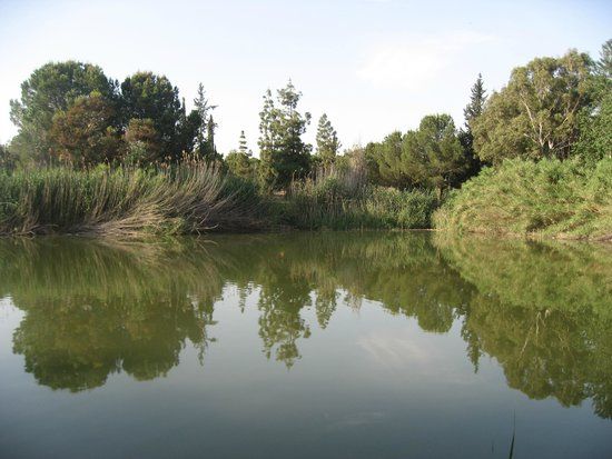 Athalassa National Park