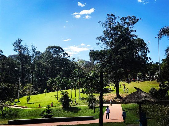 Praca Vinicius de Moraes