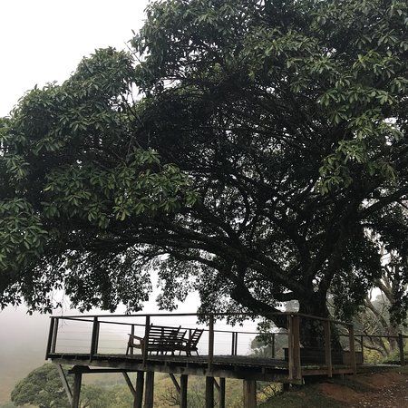 Fazenda Água da Capoeira