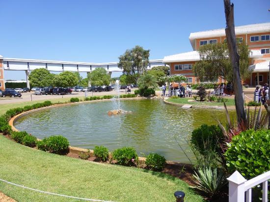 Testemunhas de Jeová