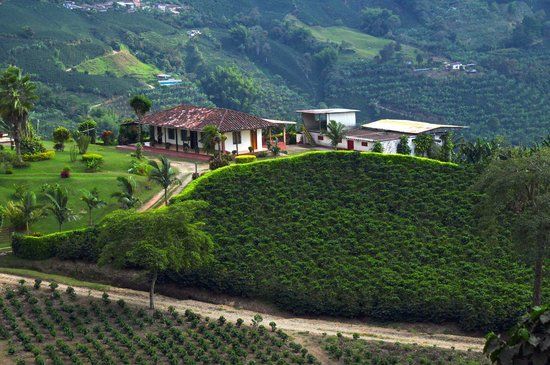 el Eje cafetero