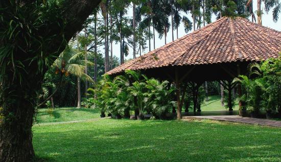 Orquideorama Enrique Perez Arbelaez