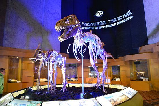 Central Museum of Mongolian Dinosaurs