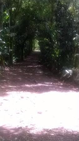 Finca Paraiso Organico