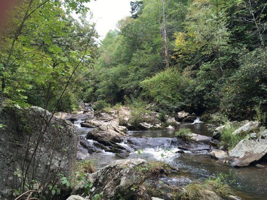 Bottom Creek Gorge