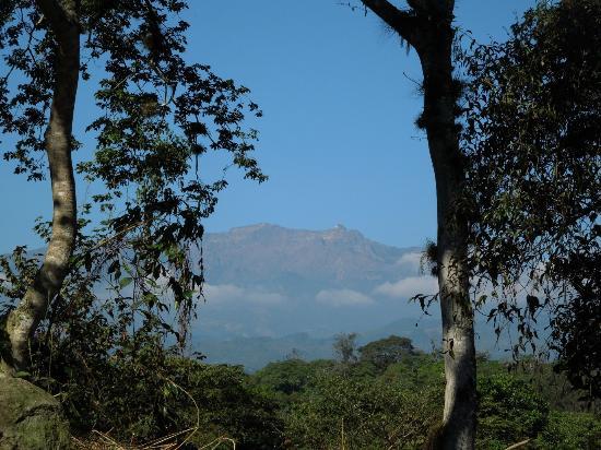 Parque Montecillo