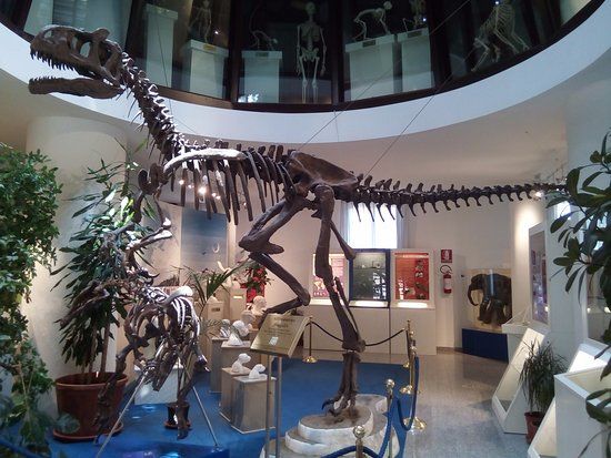 Museum of Biomedical Sciences