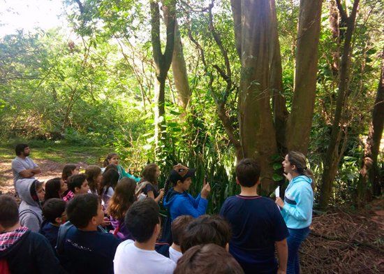 Horto Florestal de Lins