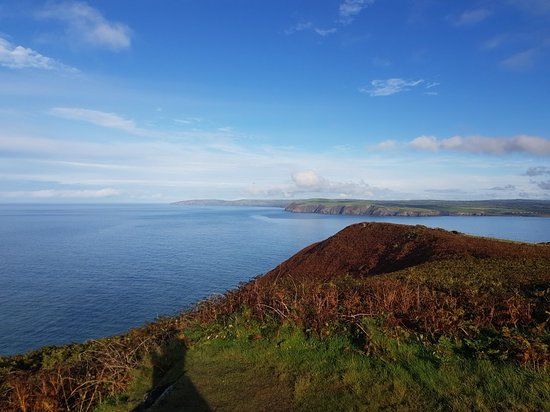 Dinas Head