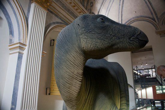 Temps de Dinosaures