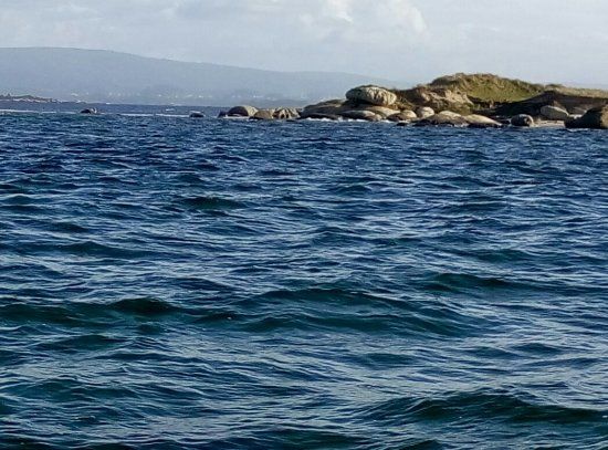 Ría de Arousa