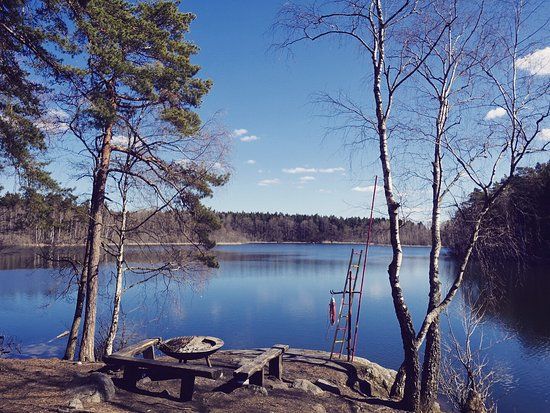 Judarskogens naturreservat