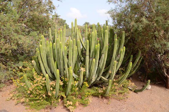 Parque Tony Gallardo