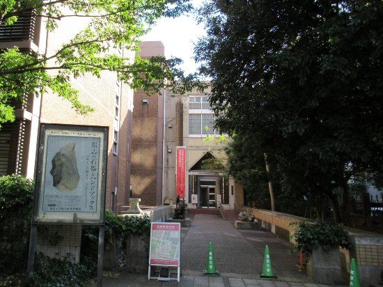東京大学総合研究博物館