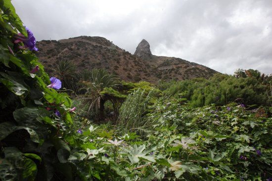 Jardín Botánico del Descubrimiento de Vallehermoso