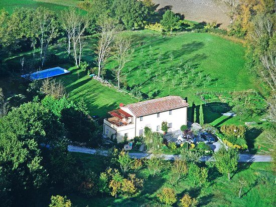 Suzie's Yard