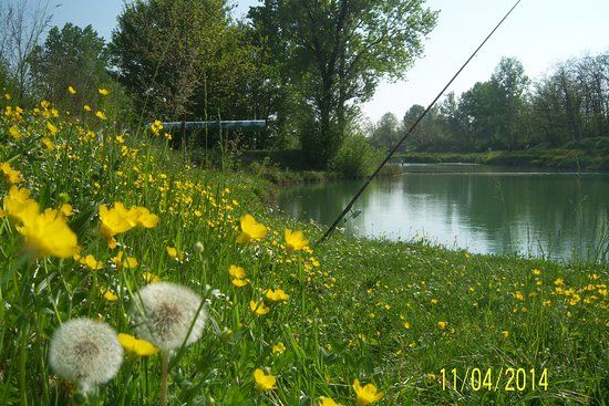 Parco Palustre