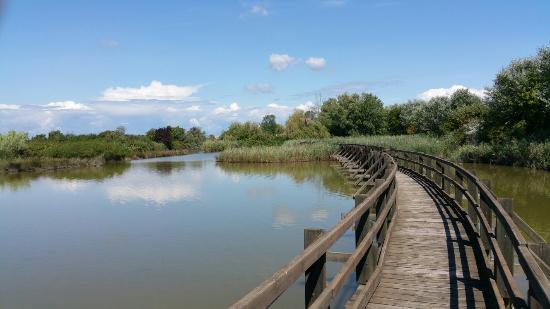 Riserva Naturale della Valle Canal Novo