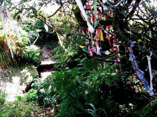 Sancreed Holy Well