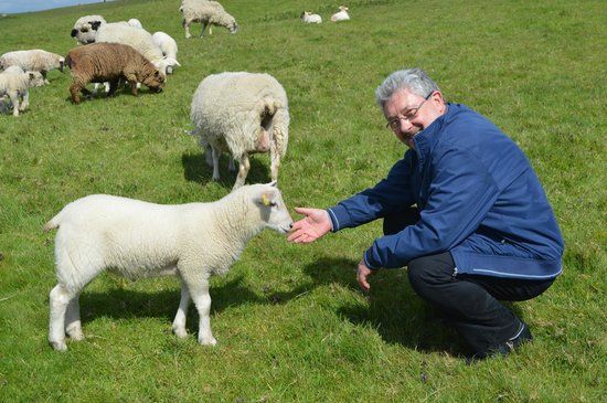 Seven Sisters Sheep Centre