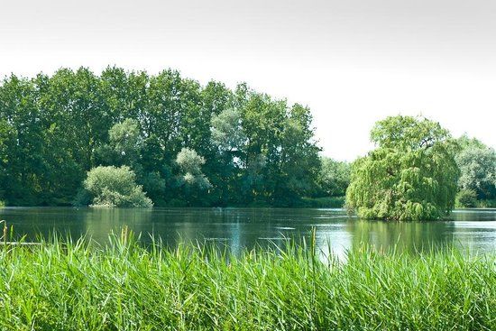 Lackford Lakes