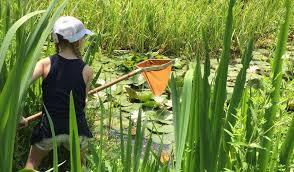 Braywick Nature Centre