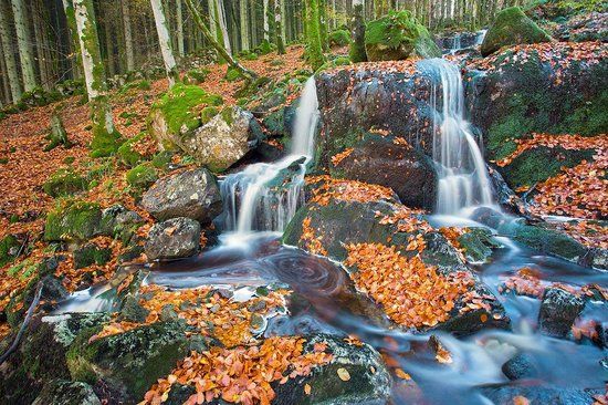 The Gallery at Laurieston