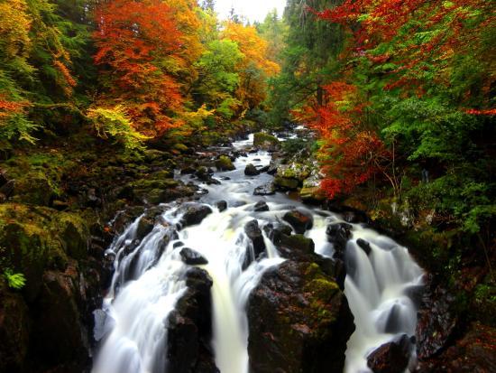 The Hermitage Woodland Walk