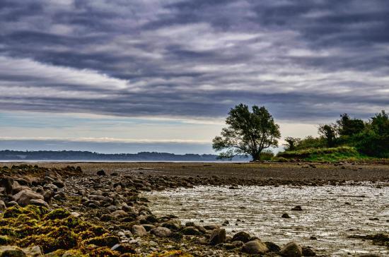 Island Hill & North Strangford Nature Reserve